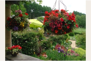image001.jpg
