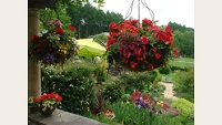 image001.jpg
